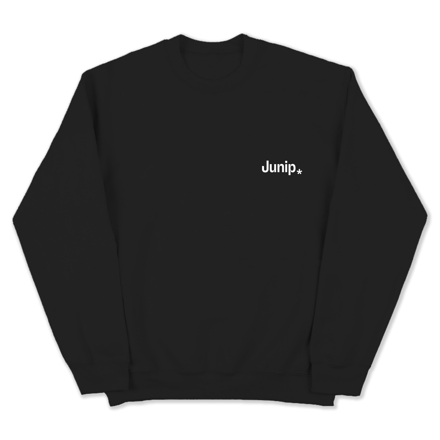 Logo crewneck sweatshirt