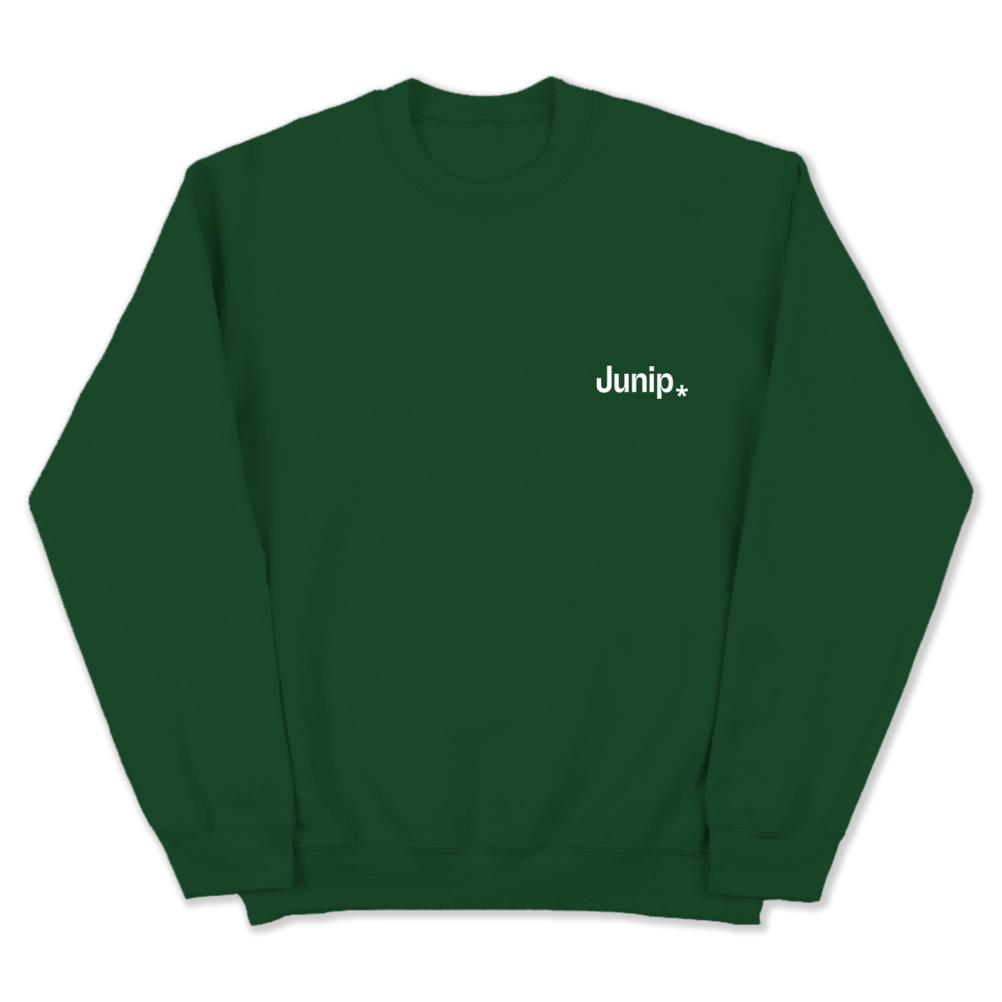 Logo crewneck sweatshirt