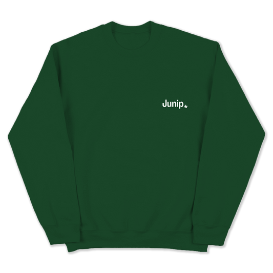 Logo crewneck sweatshirt